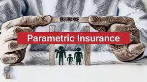 Parametric Insurance